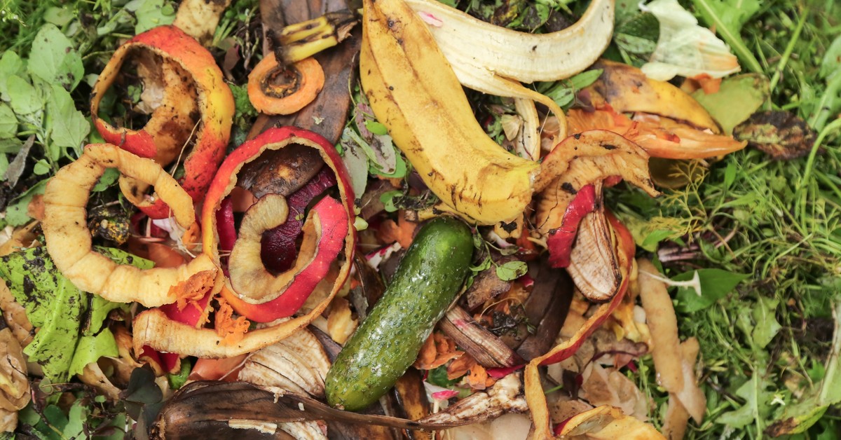 Ulga za kompostownik nie tylko dla segregujących śmieci