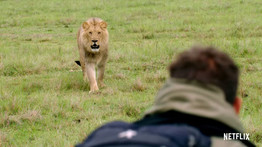 Vérszomjas oroszlán elől menekül a világ legismertebb túlélője – Ön dönthet róla, megússza-e