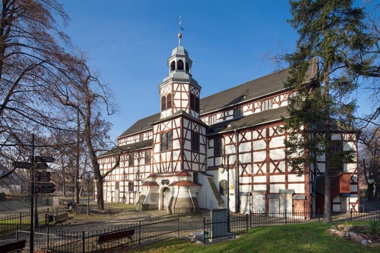 Jawor, fot. Piotr Ostrowski © NID