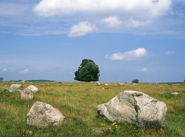 Głazowisko Rutki, Suwałki