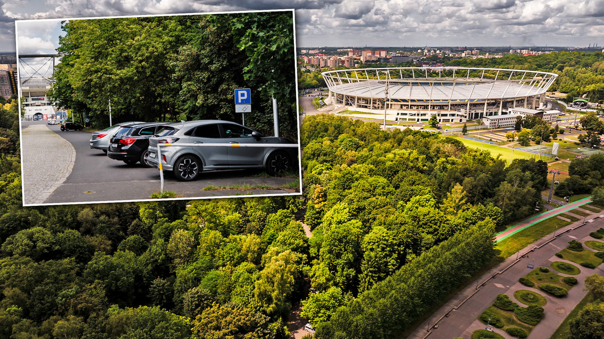 Park Śląski bez samochodów. Piesi będą zadowoleni