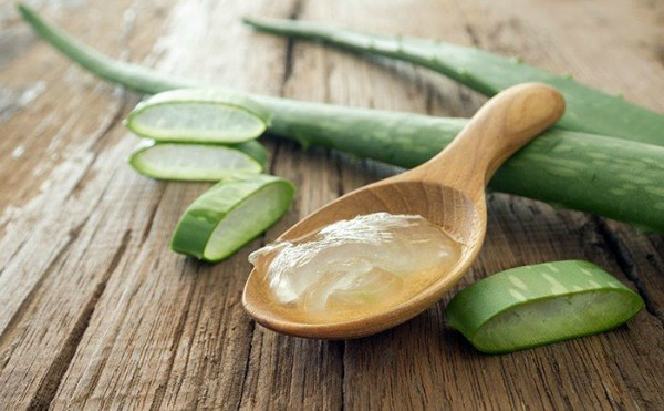Aloe vera juice reduces gum bleeding [ece-aut-gen]