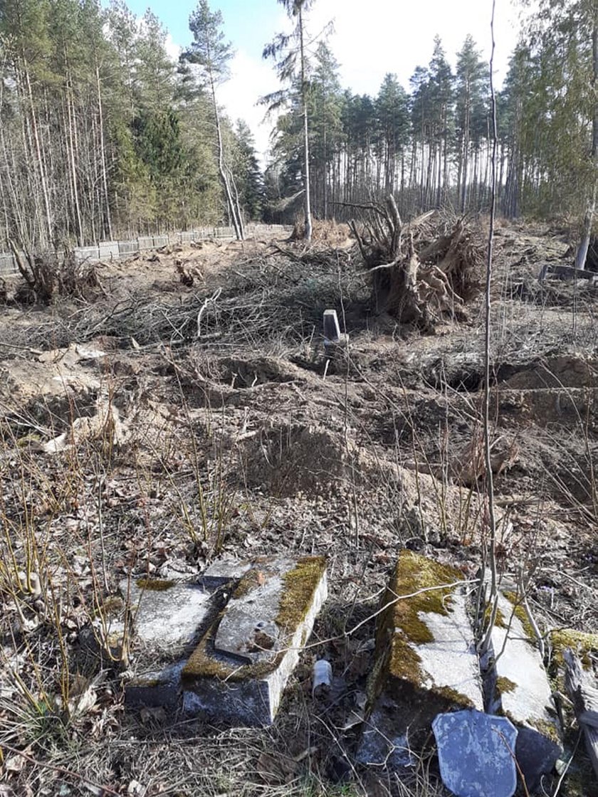 Na cmentarzu wykarczowano drzewa razem z nagrobkami. Zniszczenia dokonał proboszcz?