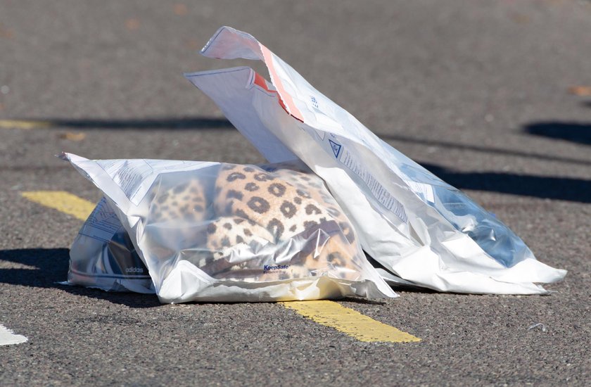 Tragiczna śmierć młodego Polaka w Anglii. 18-latka oskarżona o morderstwo