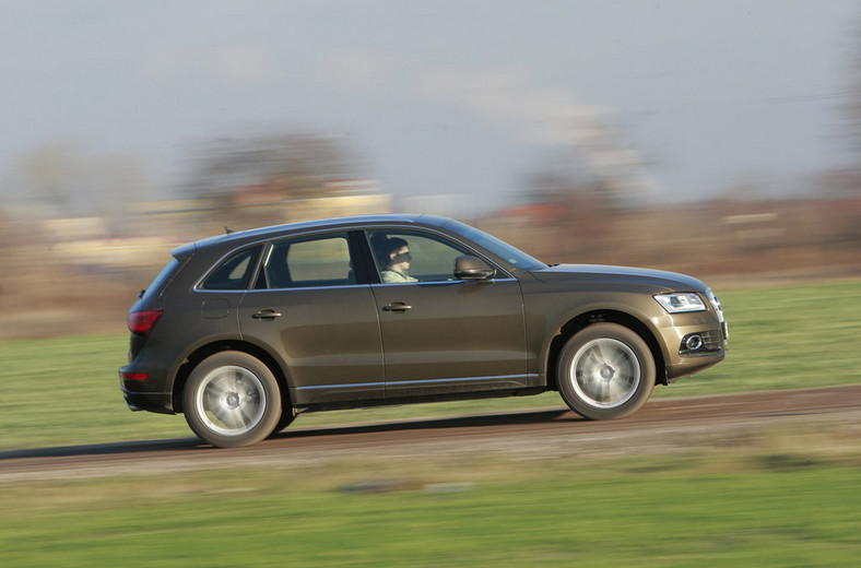 Test Audi Q5 3.0 TDI S-Tronic: auto na każdą drogę