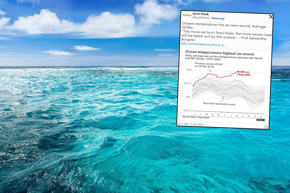 Groźne rekordy w oceanach. Na Florydzie "woda jak w wannie z hydromasażem"