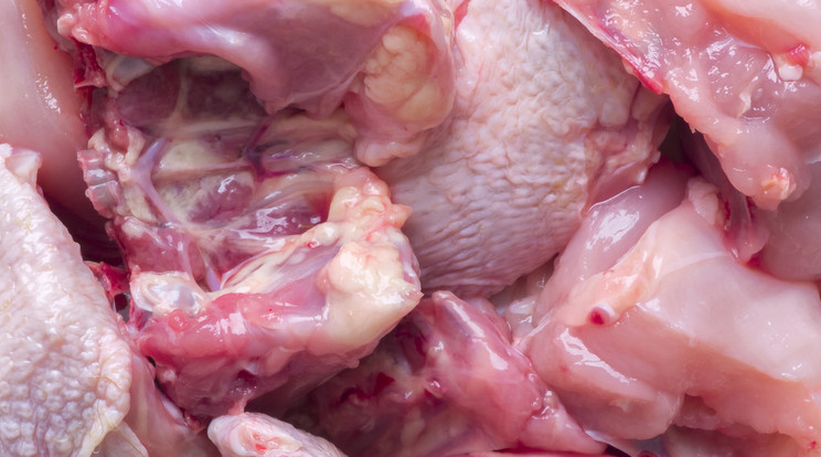 140 kiló húst foglaltak le Hatvanban/Fotó: Northfoto