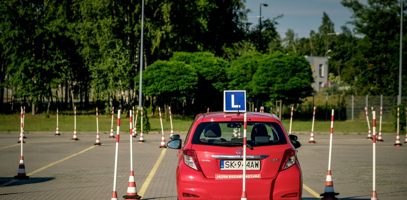 To uratuje kierowców przed utratą prawa jazdy. Specjalne kursy wróciły