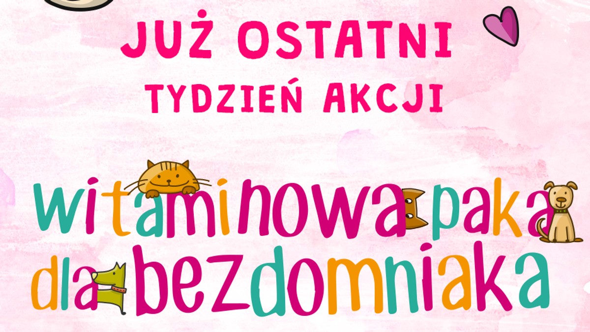 Czworonogi, które trafiają do schronisk, są często schorowane, wycieńczone i zestresowane. Takie zwierzaki zwykle potrzebują nie tylko natychmiastowej opieki weterynarza, ale także dalszej pomocy w odzyskiwaniu zdrowia. Niezwykle przydatne są im więc witaminy i suplementy. Właśnie dlatego na platformie www.dlaSchroniska.pl trwa ich internetowa zbiórka.