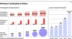 Ile kosztuje uruchomienie małego browaru