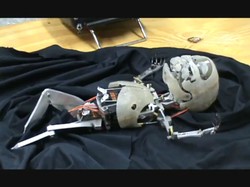 Mechaniczne niemowlę. Zobacz szokujące wideo!