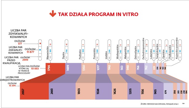 Jak działa program in vitro