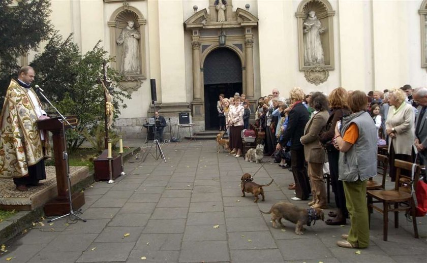 Zwariował? Były ksiądz chce zbawiać psy!