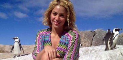 Shakira pogryziona przez morską bestię - uratował ją brat