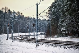 dywersja w polsce. wyniki sondażu uderzają w państwo