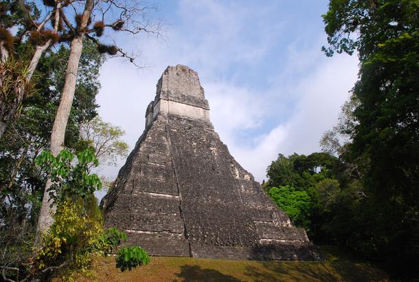 Piramida Tikal