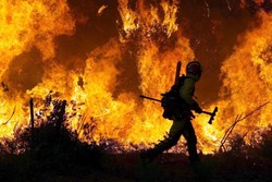 Portugalia w ogniu. Tysiące strażaków walczy z 33 pożarami