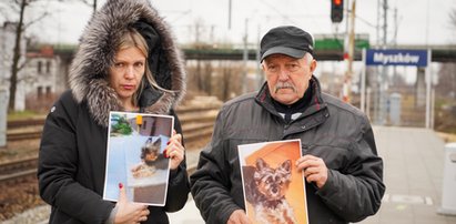 Pies Adi odnalazł się. Policja szuka złodziei