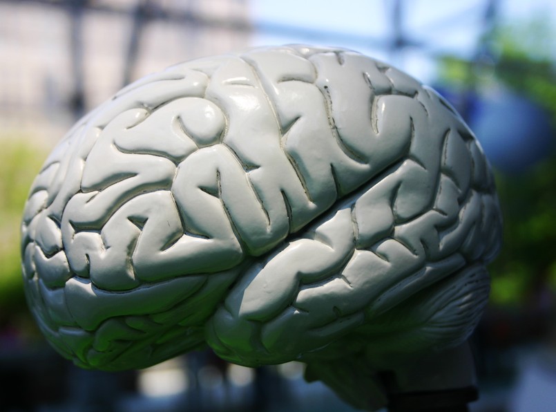 Mózg zdradzi nasze sny