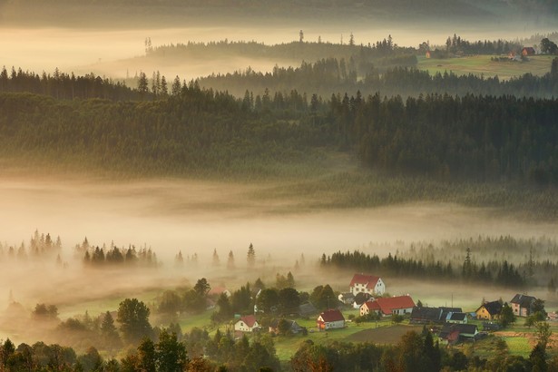 Funkcjonariusze KAS tropią podatników na beskidzkich szlakach