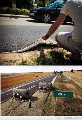 Galeria najlepwszych MEMów minionego tygodnia