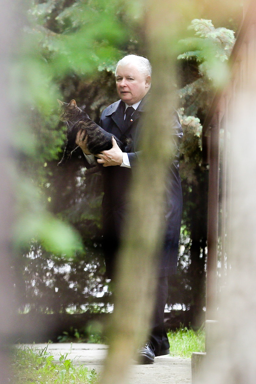 Jarosław Kaczyński z kotem