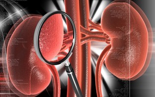 Zapaść w transplantologii. Dramatycznie spada liczba dawców narządów w Polsce