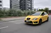 Nieoznakowany Seat Leon Cupra