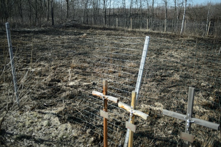 Miejsce katastrofy prezydenckiego tupolewa w Smoleńsku