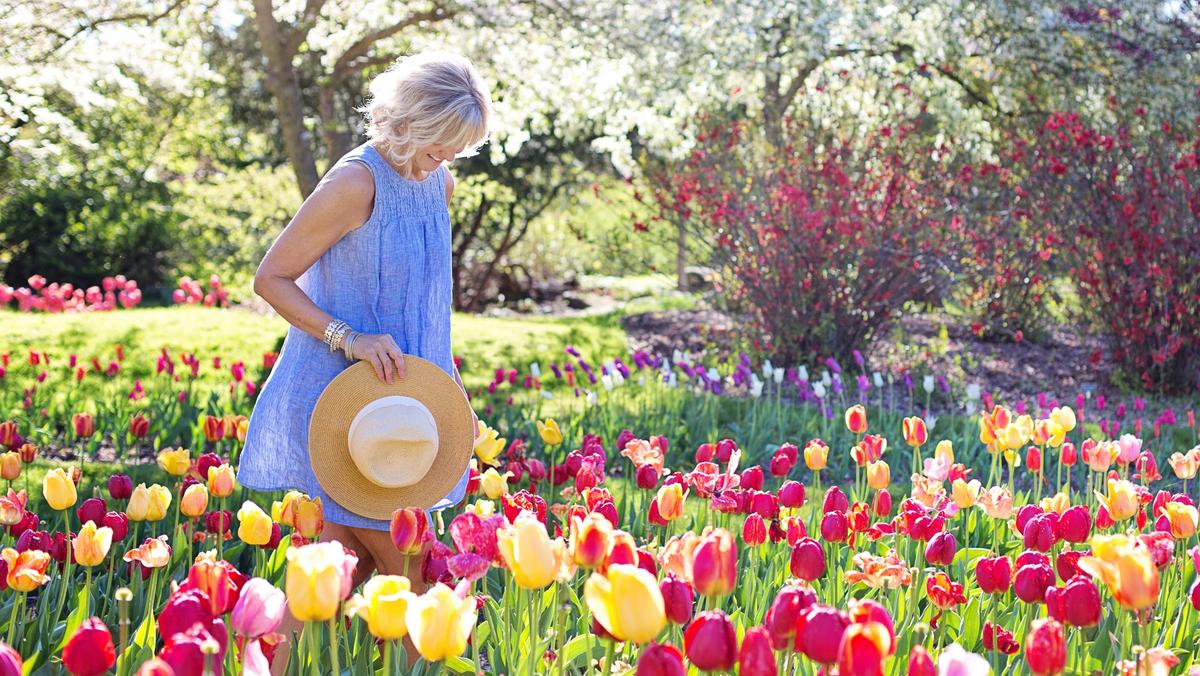 wiosna, tulipany, kobieta, sukienka