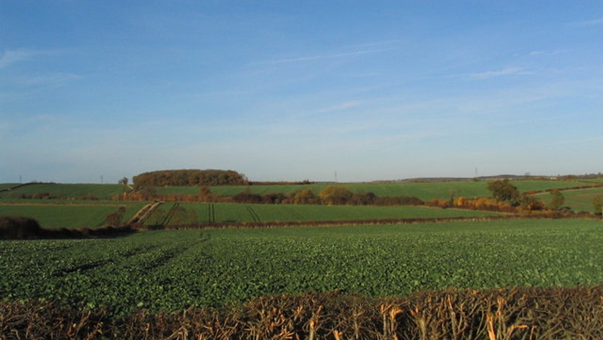 Trzęsienie ziemi o sile 3,9 magnitudy, które nastąpiło w północno-wschodnim Lincolnshire, było prawdopodobnie odczuwalne w odległości do 100 kilometrów - podało BBC.