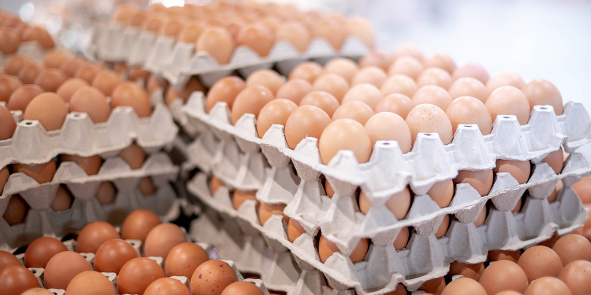 Nie będzie brązowych jajek w sklepach. Jajka z Polski zagrożone