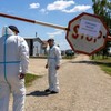 Farma svinja