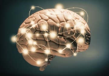 Fontos magyar felfedezés a Parkinson-kór, a skizofrénia és az Alzheimer-kór területén