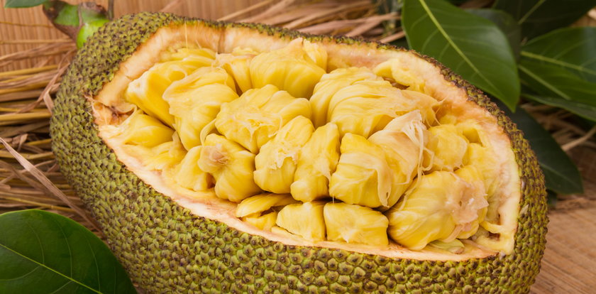 Jackfruit: co to, gdzie kupić? Przepisy z chlebowcem