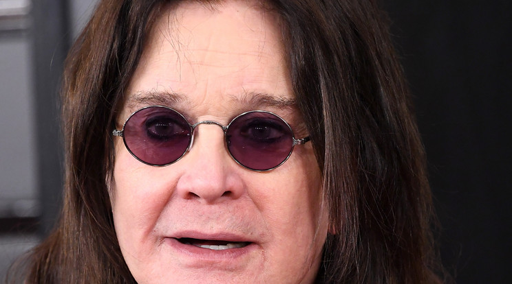 Ozzy Osbourne újra életcélt talált magának a munkával / Fotó: Getty Images