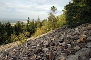 Politycy Lewicy domagają się kontroli w Świętokrzyskim Parku Narodowym