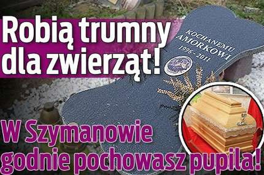 Robią trumny dla zwierząt! W Polsce też pochowasz pupila!