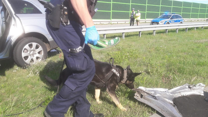 Śmiertelny wypadek na autostradzie A1