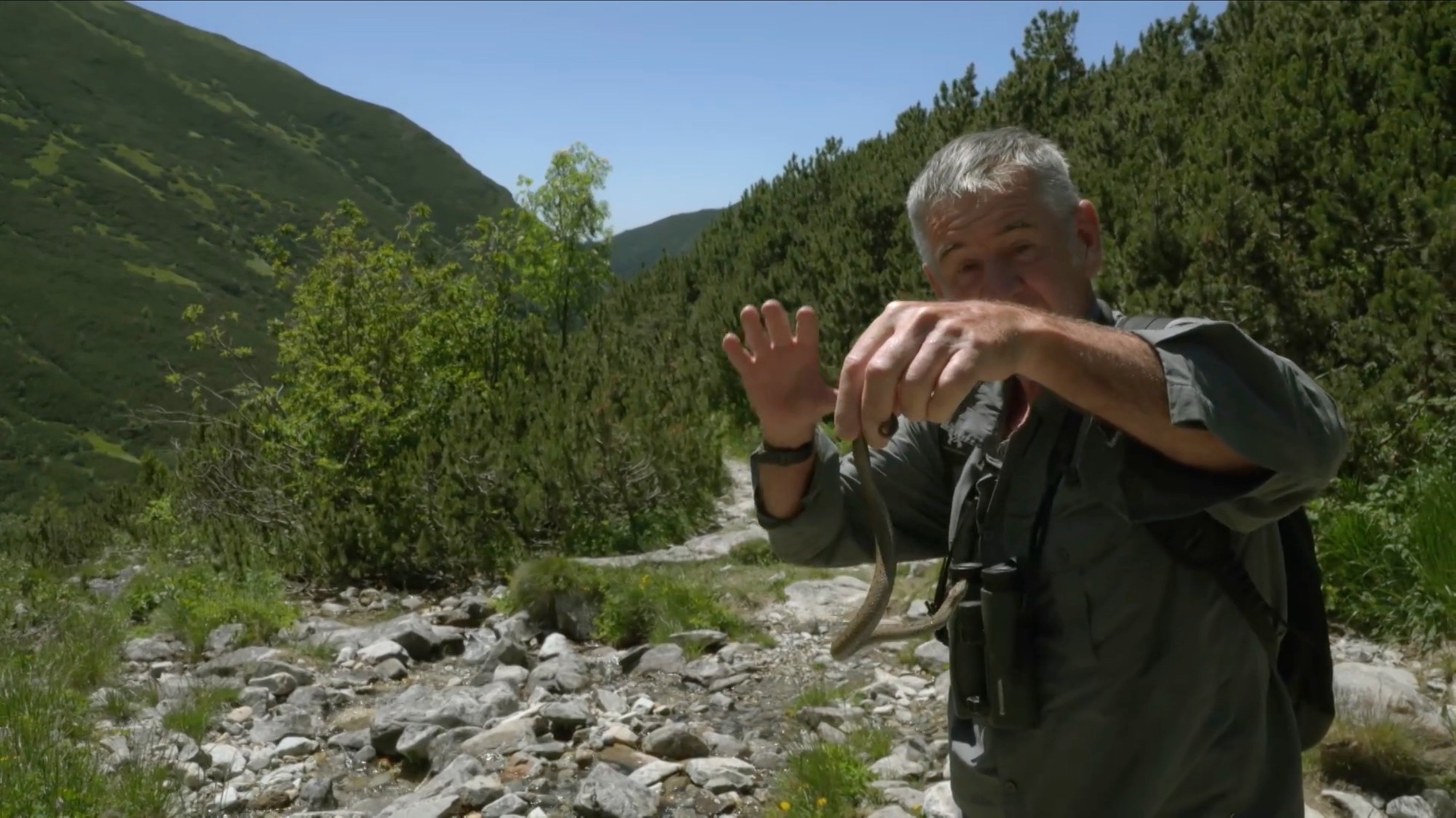 Nigel Marven ukáže modré žaby či pavúka, ktorý žije na Slovensku.