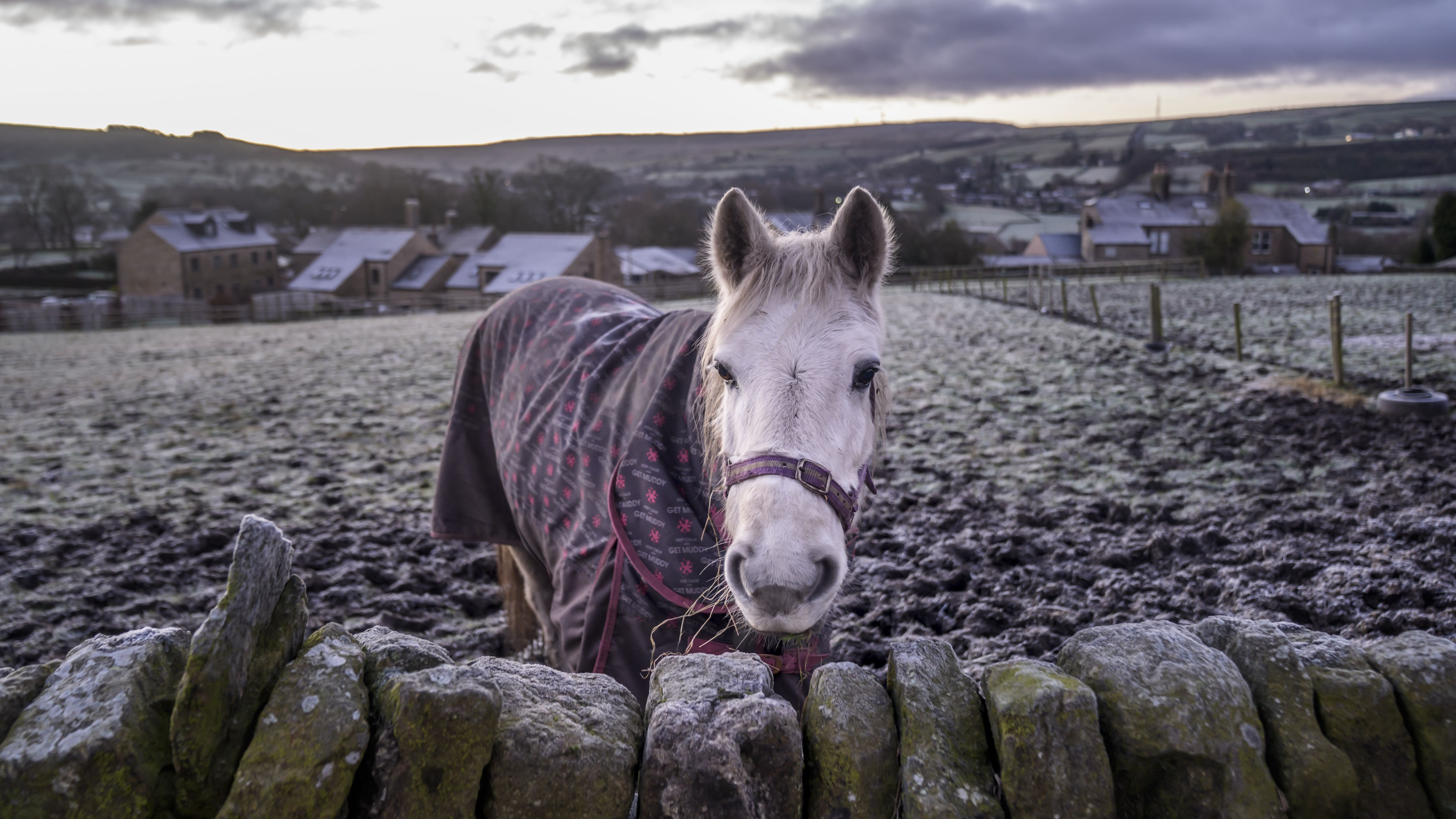 Arctic freeze hits UK: Health alert warns deaths likely among over-65s through Jan 6