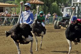 Czy to jeszcze jest sport? 14 najdziwniejszych i niecodziennych dyscyplin