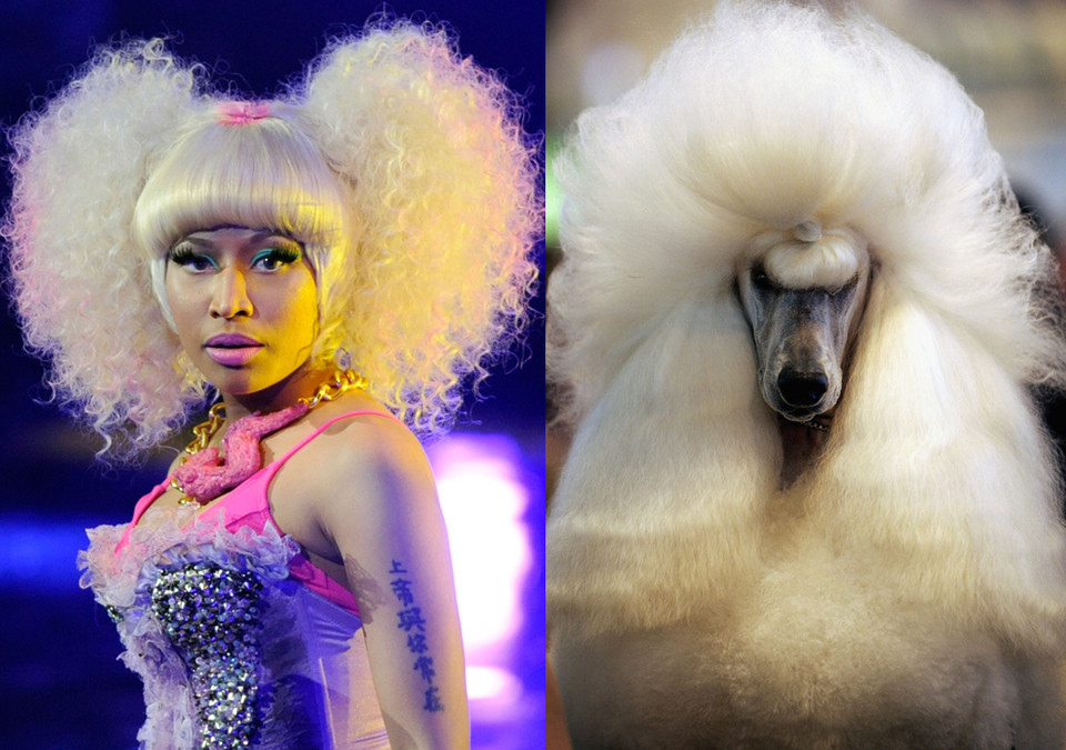 Nicki Minaj i pudel (fot. Getty Images)