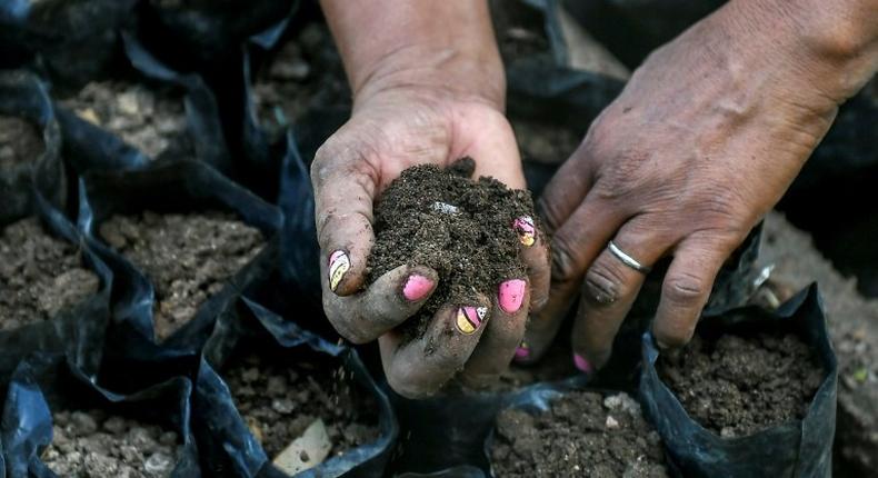 All you need to know about soil testing