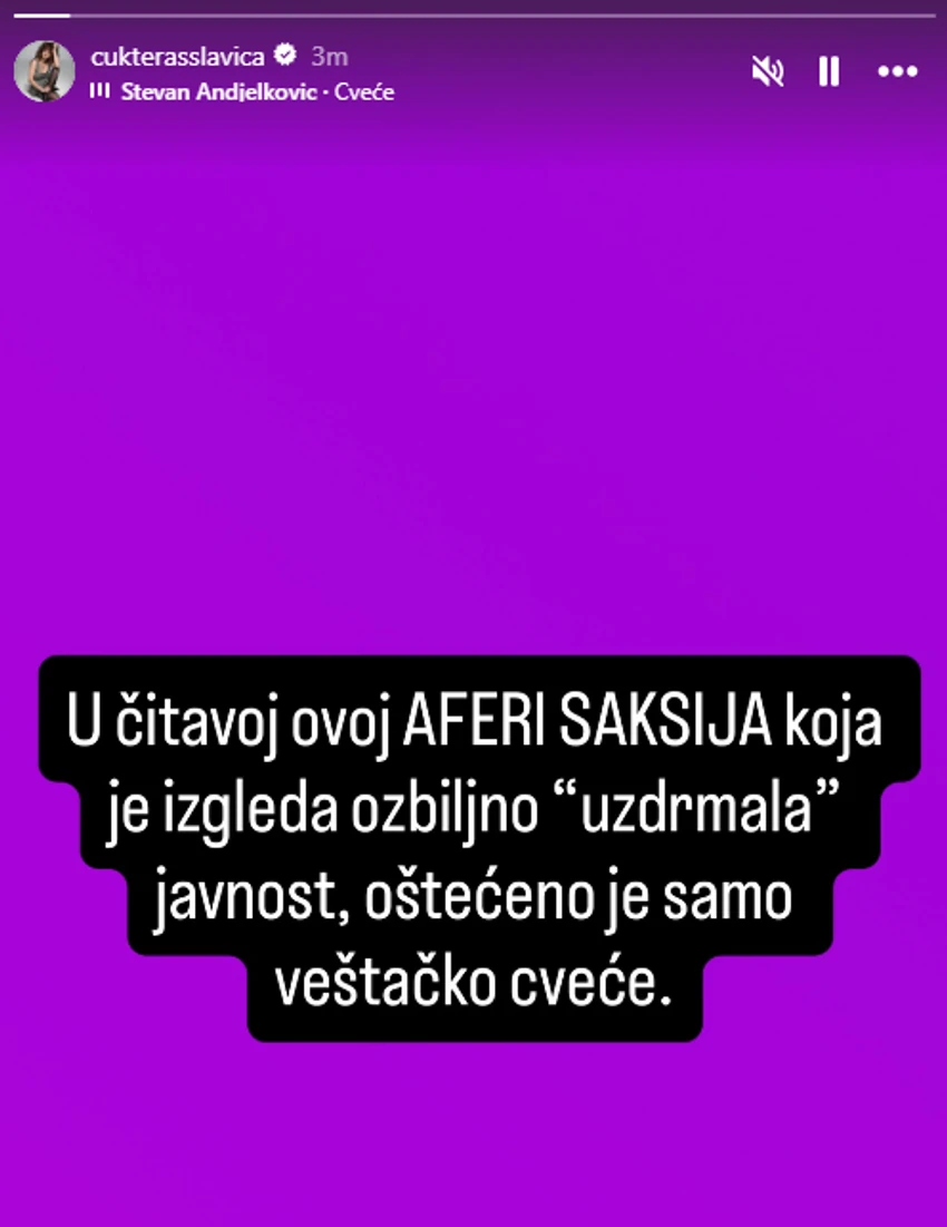 Slavica Ćukteraš se oglasila