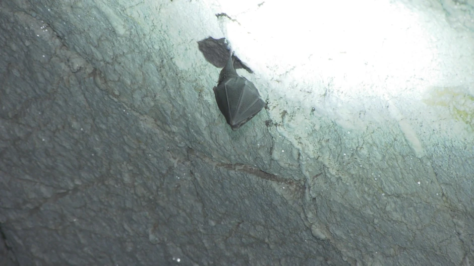 Ledena pećina kod Nove Varoši