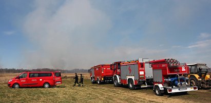 Akcja dogaszania pożaru nad Biebrzą. W niedzielę straż podejmie kluczowe decyzje