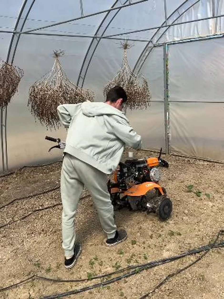 Branko Babić, objava