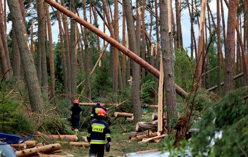 Zniszczenia i powalone drzewa w województwie pomorskim w okolicy miejscowości Suszek