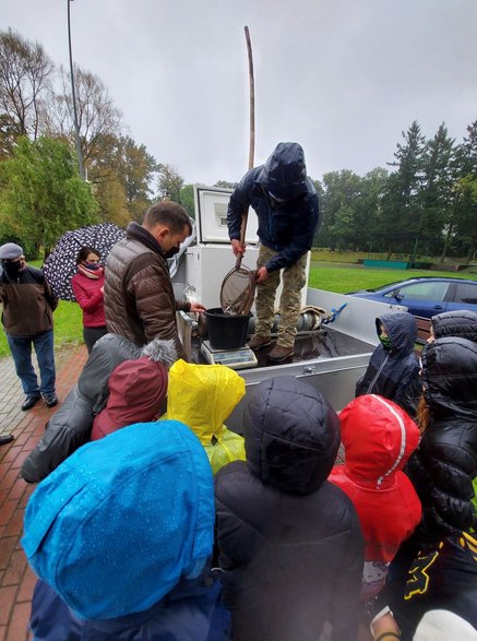 Zarybianie rzeki Regi narybkiem jesiennym. Foto: Starostwo Gryfice